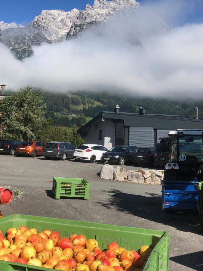 Stockis Mountaindestillerie - Appartements Leogang Dış mekan fotoğraf